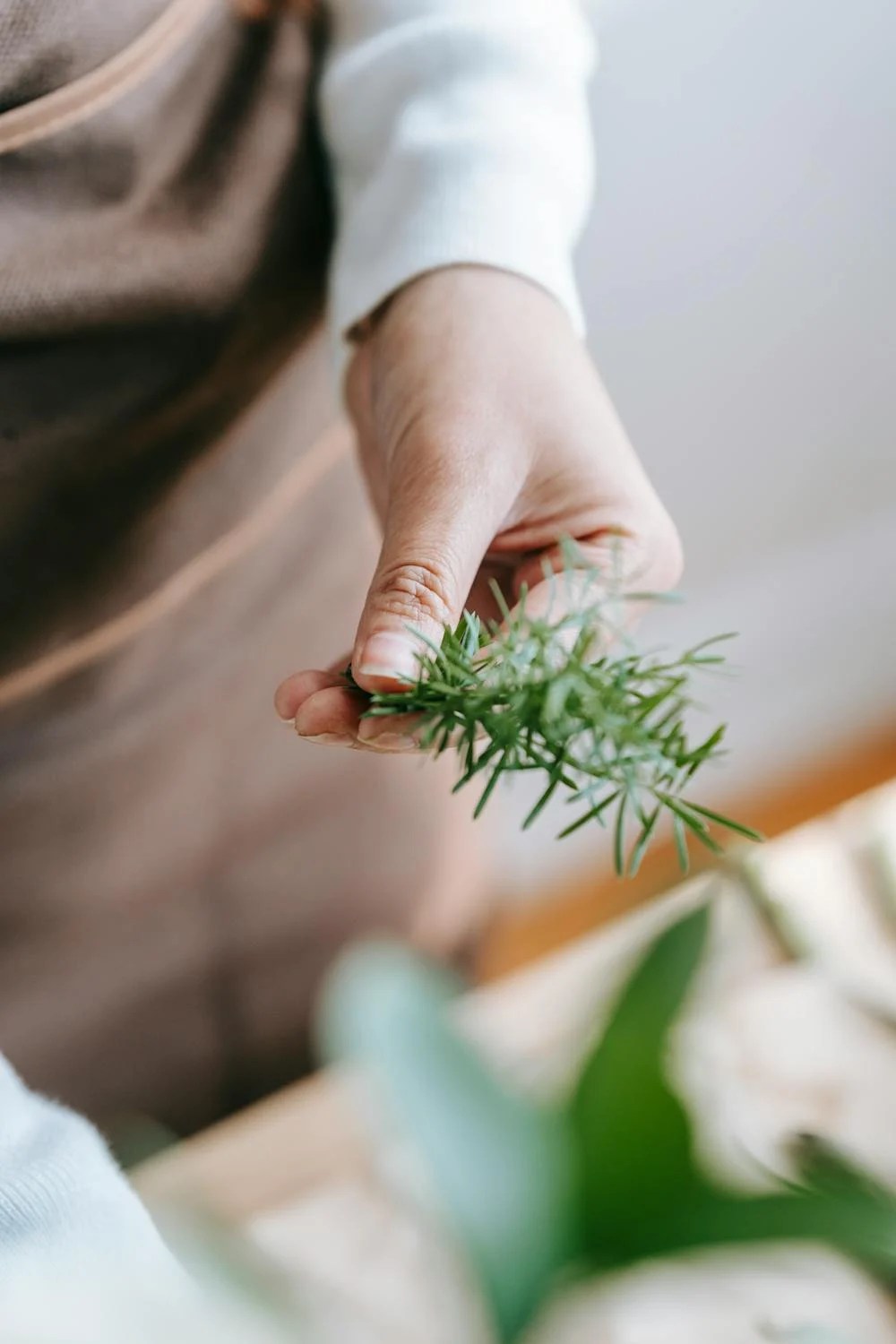 Rosemary Water: Nature’s Elixir for Hair&nbsp;Growth?